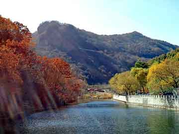 澳门二四六天天彩图库，监测换热器